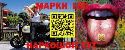сатива Можга