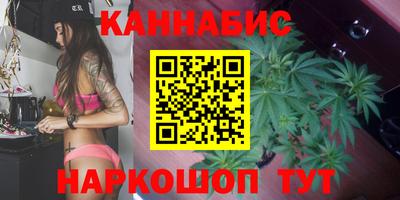 стаф Моздок