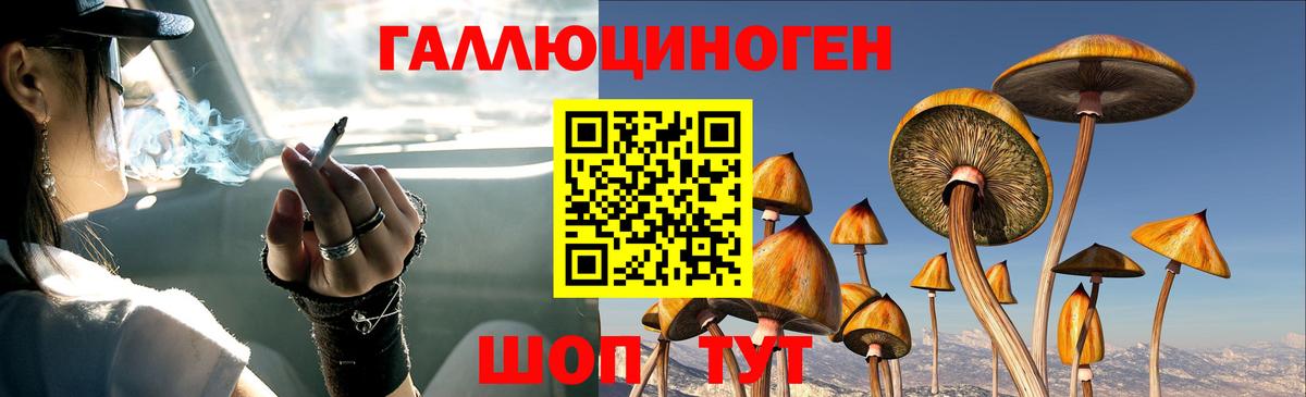Галлюциногенные грибы GOLDEN TEACHER Уварово